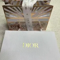 CHRISTIAN DIOR ショッパー　ギフトバッグ　ホリデー　クリスマス限定