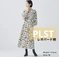 Item thumbnail for item 7d0fd3e3-832c-4d0a-9a3f-8452b0052b96