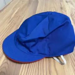 Item thumbnail for item 76669aaa-38fb-4816-b9b6-864885c9c380