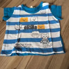 【4月末処分】猫イラスト 青と白ストライプ Tシャツ
