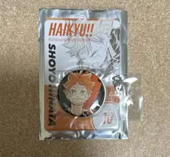 ハイキュー　缶バッジ　特製ホルダー