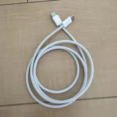 Apple純正　充電ケーブル USB タイプC to C ケーブル