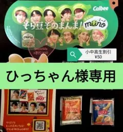 SnowMan 非売品 カルビー ミニチュアチャーム リーフレット