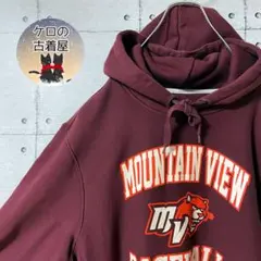 US古着 メンズ パーカー スウェット 肉厚 へビーウェイト 大きめ カレッジ