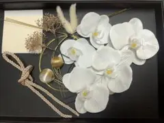 成人式 着物・浴衣