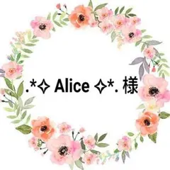 .*⁠✧⁠ Alice ✧⁠*. 様