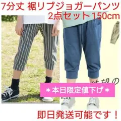 7分丈 裾リブパンツ ジョガーパンツ グレーブルー ストライプ 2本 150