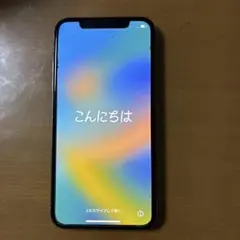 Apple iPhone X 本体