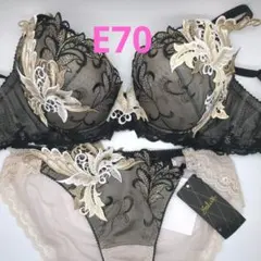 2025年最新】ワコール サルート e70の人気アイテム - メルカリ