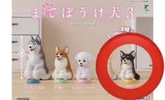 チワワ カプセルトイ