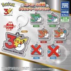 【5種類】ポケモン 30周年 メタルチャームマスコット