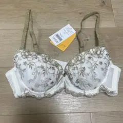 tutu anna 永遠のブラ A70 新品