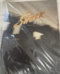 KinKi Kids 堂本光一 endless shock 2013パンフレット