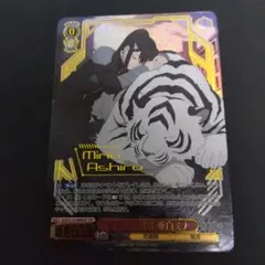 ヴァイスシュヴァルツ 怪獣8号 守りたい日常 亜白ミナ SSP