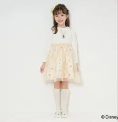 ディズニー ワンピース