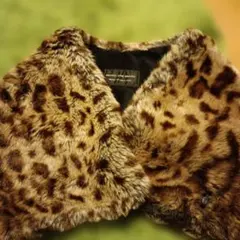 Item thumbnail for item f3f3a927-ffa1-4afd-9b38-e423120b990b