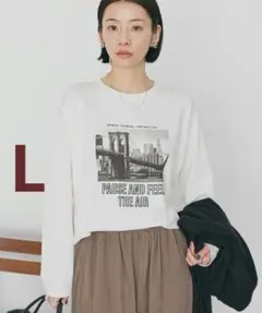 AMERICANHOLIC アソートロゴロンT　Ｌ　C