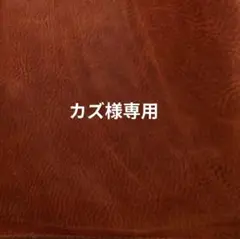 専用