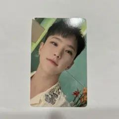 SEVENTEEN ホシ DREAM 大阪 京セラ 会場限定 トレカ