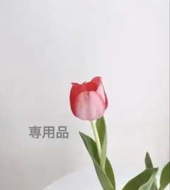 シャネル　CHANEL 香水　サンプル　チャンス　2種セット