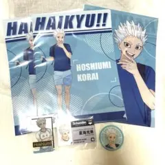 ハイキュー‼︎ 星海光来 箔押しクリアカード 名刺カード ステッカークリアファイル