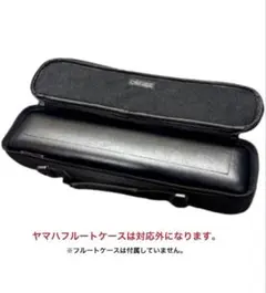 2025年最新】ムラマツ フルート m-85の人気アイテム - メルカリ