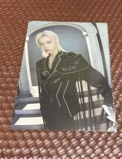 Stray Kids スキズ フィリックス シーグリFORCEポストカード