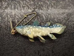 シーラカンス　キーホルダー　ネイチャーテクニカラー