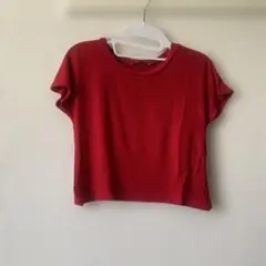 ZARA 赤 半袖 Tシャツ S