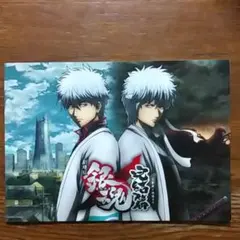 劇場版　銀魂　完結篇　パンフレット