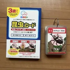 ラミネート加工　昆虫カード おやべん　親勉　昆虫色ぬりおまけ