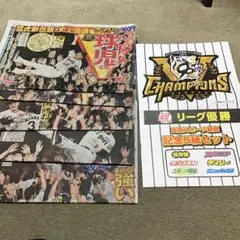 最終値下げ 阪神タイガース優勝 スポーツ5紙セット 関西版