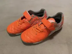 Item thumbnail for item 4c40c50f-8fc7-4032-9341-8d964ce69f27