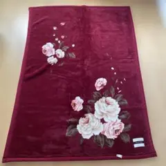 【値下げ】カネボウ厚手毛布（140cm✖️200cm）