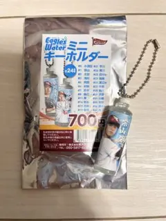 ナンバープレート風キーホルダー　宗山塁 2025年最新】宗山塁 キーホルダーの人気アイテム - メルカリ