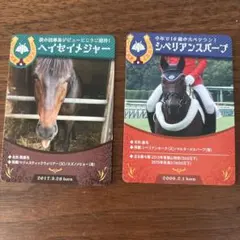 競走馬カード ヘイゼイメジャー シベリアンスパー 2枚セット