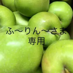 ふ〜りん〜さま専用