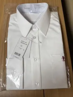 Item thumbnail for item def392a5-f1f4-4152-b480-09f88d61d7a4