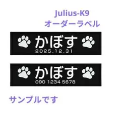 Julius-K9用　オーダーラベル 1枚（文字の2段加工）のサムネイル