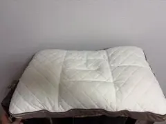 杏さん専用定価44000円新品未使用 じぶんまくらプレミアムロング