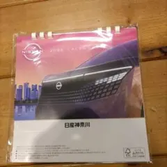 Item thumbnail for item 2b6ca19c-45b3-487a-a438-ca514e65ac22