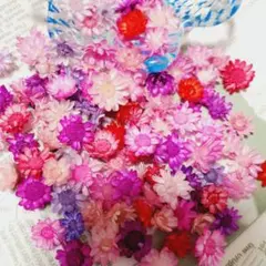 sakurappi様 リクエスト 3点 まとめ商品