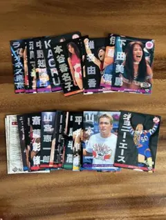 プロレス　カード BBM96 ベースボールマガジン　27枚　おまけ付き　まとめ