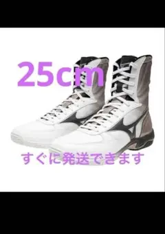 2026年最新】MIZUNO ボクシング シューズの人気アイテム - メルカリ