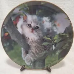 ✾ 猫 ✾ 絵皿 Out on a Limb限定版プレート