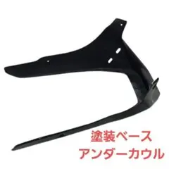 汎用 塗装ベース用 アンダーカウル 黒 プラスチック製 ツインダクト