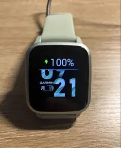Garmin SQ2 Cool Mint/Metallic Mint ガーミン