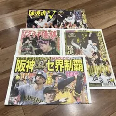 即購入OK♡阪神タイガース♡優勝記念雑誌♡新聞♡5部セット♡2025年リーグ優勝