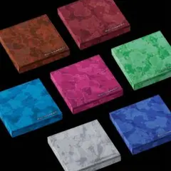 ENHYPEN VANISH FUGITIVES Ver ソヌセット