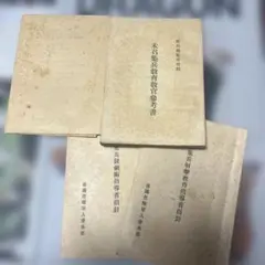 Item thumbnail for item 66b17b59-dc8a-47cd-80cd-bd3e4996ef0f